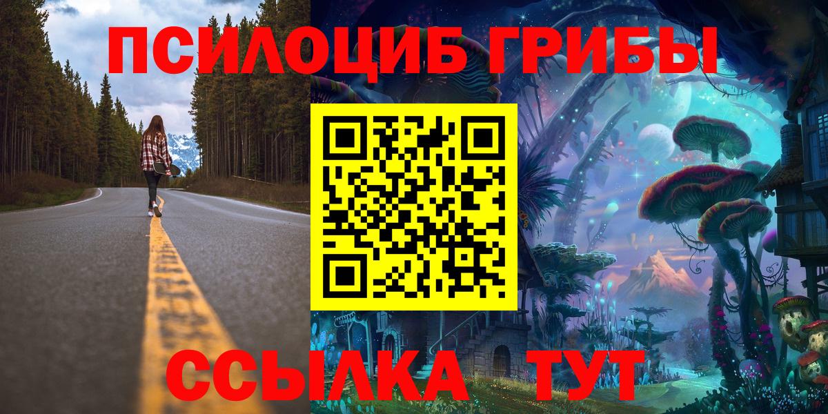 Галлюциногенные грибы Psilocybe  Вход с VPN  Петропавловск-Камчатский 