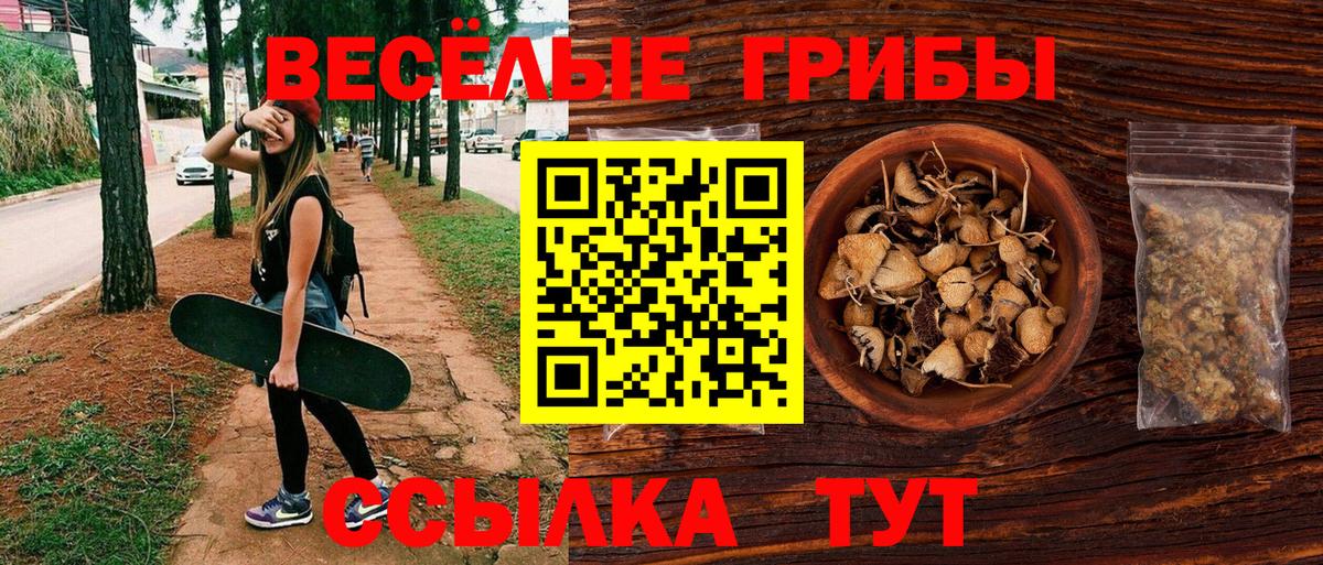 Псилоцибиновые грибы GOLDEN TEACHER Петропавловск-Камчатский